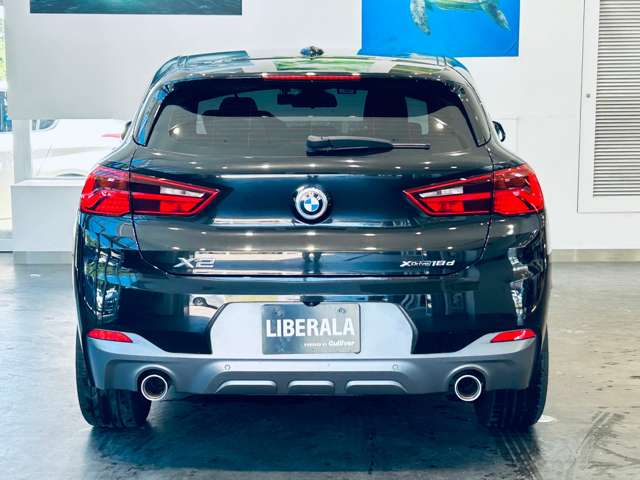 BMW X2 10