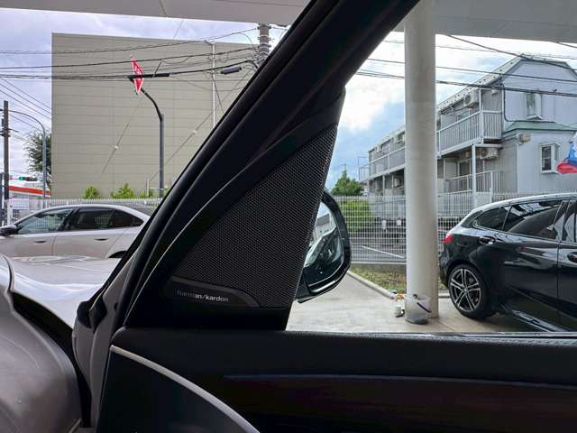 BMW iX3 4