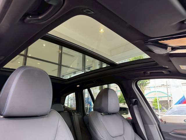 BMW iX3 6