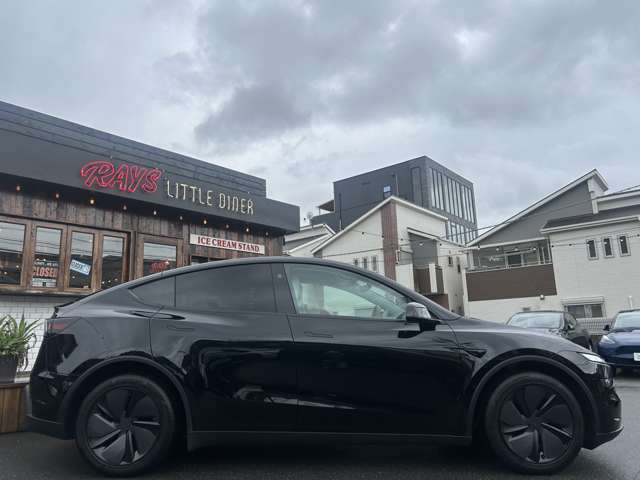 Tesla Model Y 10