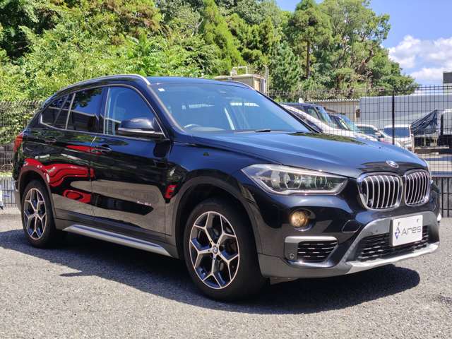 BMW X1 10
