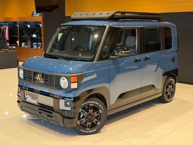 Mitsubishi Delica Mini 12