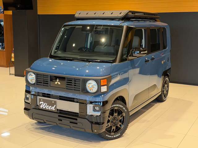Mitsubishi Delica Mini 13
