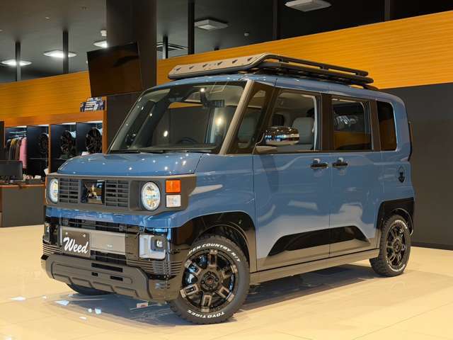 Mitsubishi Delica Mini 11