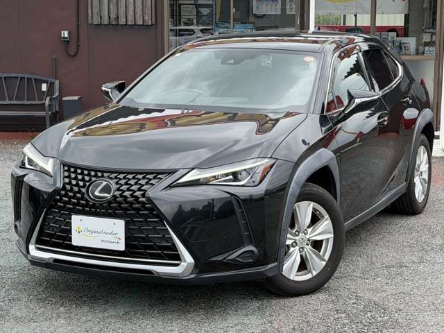 Lexus UX 9