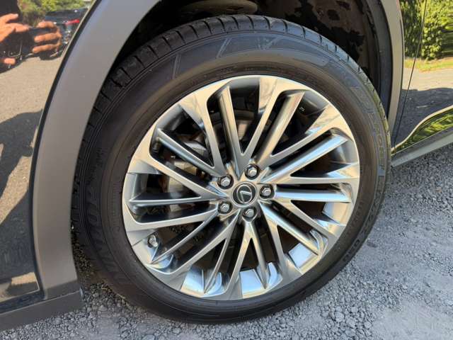 Lexus RX 11
